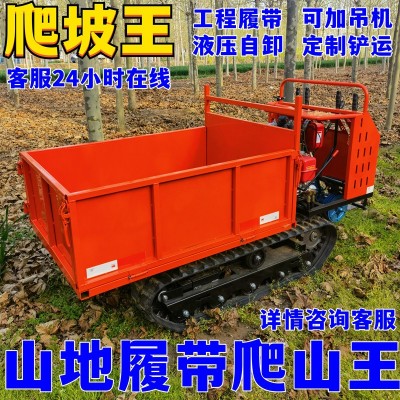 履帶運(yùn)輸車(chē)爬山虎工程農(nóng)用山地小型全地形爬坡王自卸四不像拖拉機(jī)