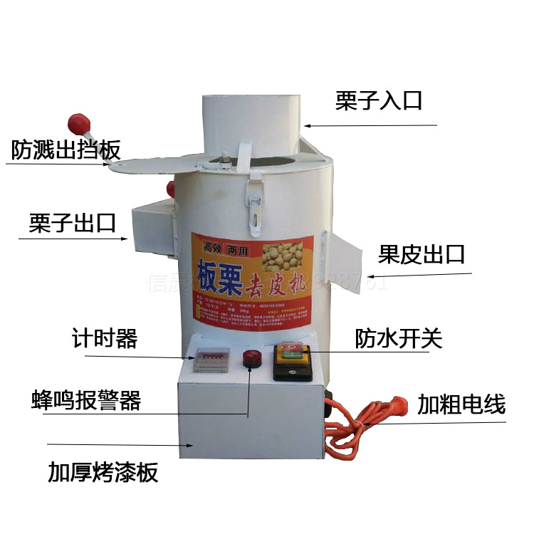 板栗介紹