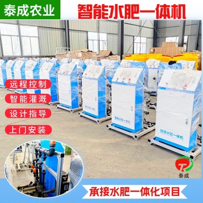 水肥一體化智能施肥機(jī) 農(nóng)業(yè)大棚滴灌果園施肥 多通道水 肥一體機(jī)