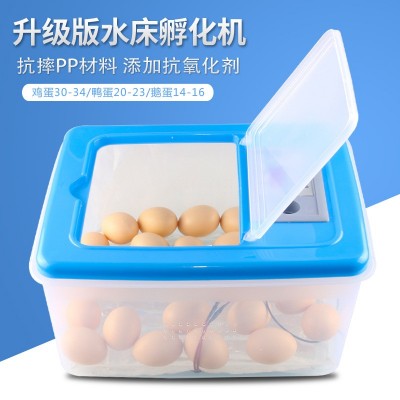 伊科貝特孵化機家用型20枚48枚雞鴨鵝水床孵化器箱孵蛋器包郵
