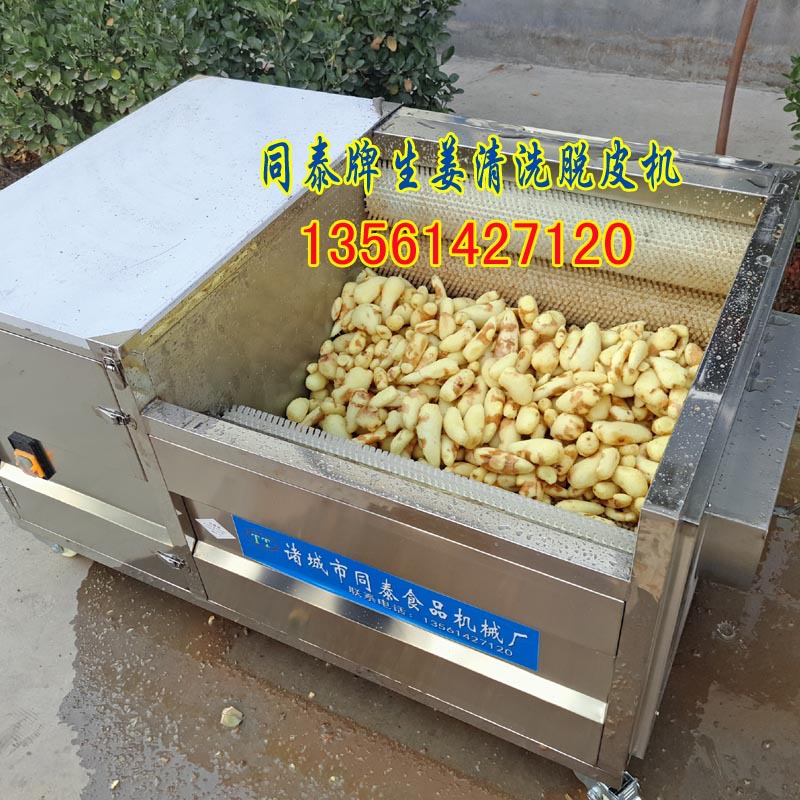 生姜脫皮機1