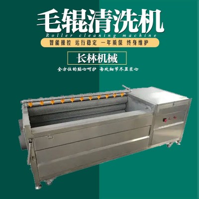 海產(chǎn)品清洗機 不銹鋼毛刷清洗機 平行毛輥清洗機
