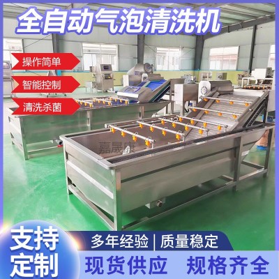 全自動(dòng)蘋果氣泡清洗機(jī)不銹鋼商用預(yù)制菜清洗設(shè)備果蔬氣泡清洗機(jī)