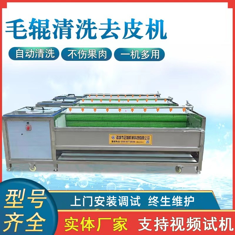 現(xiàn)貨土豆去皮機脫皮機 9根木薯洋蔥去皮機 毛刷毛輥清洗機