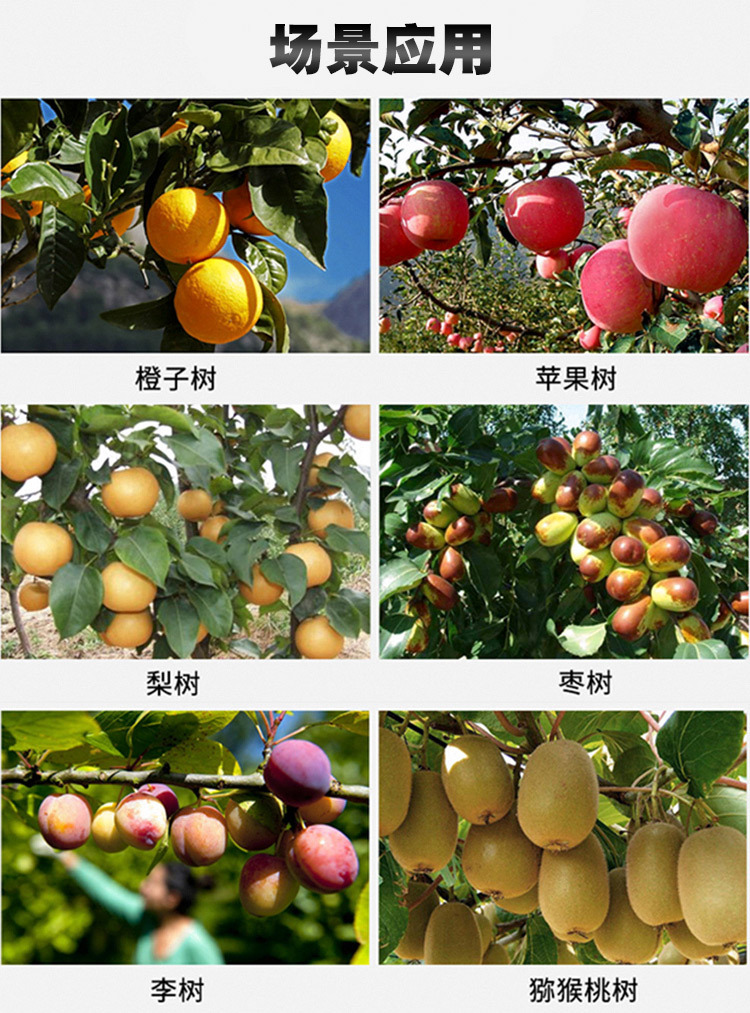 未標(biāo)題-1_04.jpg