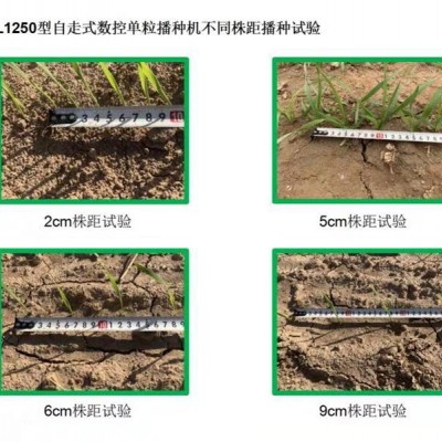 自走式數(shù)控單粒播種機(谷物類)