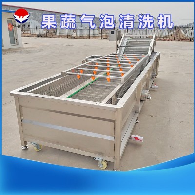 商用果蔬氣泡清洗機(jī)海蜇清洗加工設(shè)備小龍蝦高壓鼓泡式清洗機(jī)果