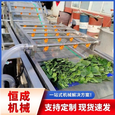 蔬菜水果氣泡清洗機胡蘿卜翻浪去泥清洗設(shè)備辣椒清洗線廠家優(yōu)惠