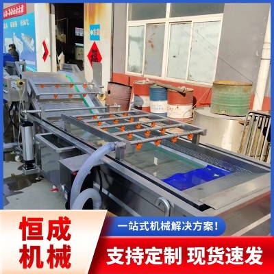 多種蔬菜水果藥材大型噴淋清洗流水線大姜小龍蝦高壓噴淋清洗機