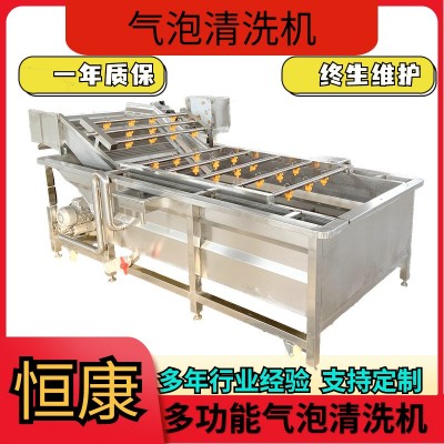 果蔬氣泡清洗機包裝袋清洗設(shè)備大棗噴淋式?jīng)_洗機蔬菜清洗流水線