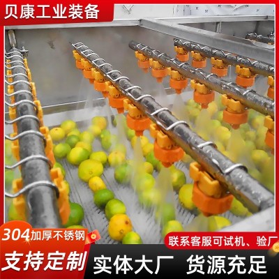 草莓枇杷果氣泡清洗設(shè)備 石榴清洗機 全自動不銹鋼果蔬清洗機