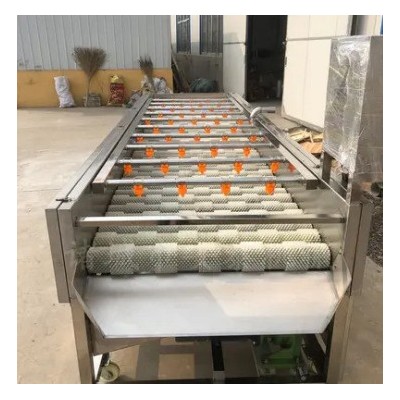 海蠣子毛刷清洗機 白蘿卜平行毛輥清洗機 牡蠣毛輥清洗設備
