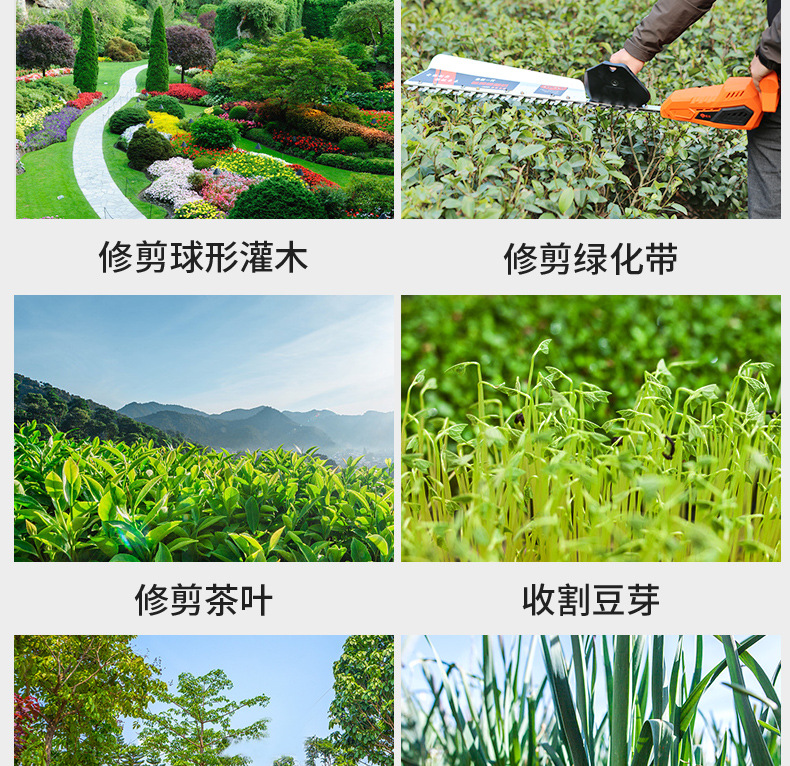 綠籬機(jī)改_04.jpg
