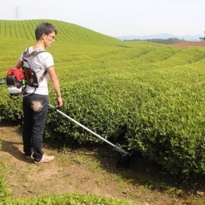 背負(fù)式家用電動割草機大棚蔬菜果園打草機大功率開荒收割神器成浩