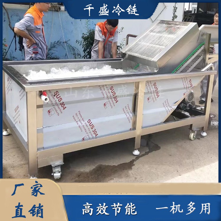 農(nóng)產(chǎn)品清洗機(jī) 蔬菜深加工設(shè)備 果蔬清洗設(shè)備 清洗流水線