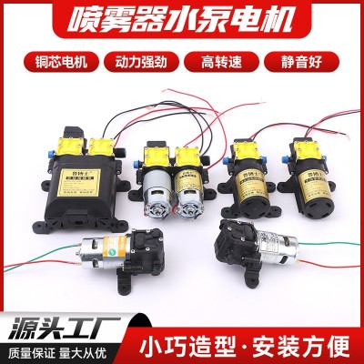廠家貨源噴霧器水泵電機(jī) 高壓打農(nóng)機(jī)配件 電動噴霧器水泵電機(jī)批發(fā)