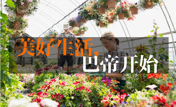 巴蒂產(chǎn)品詳情