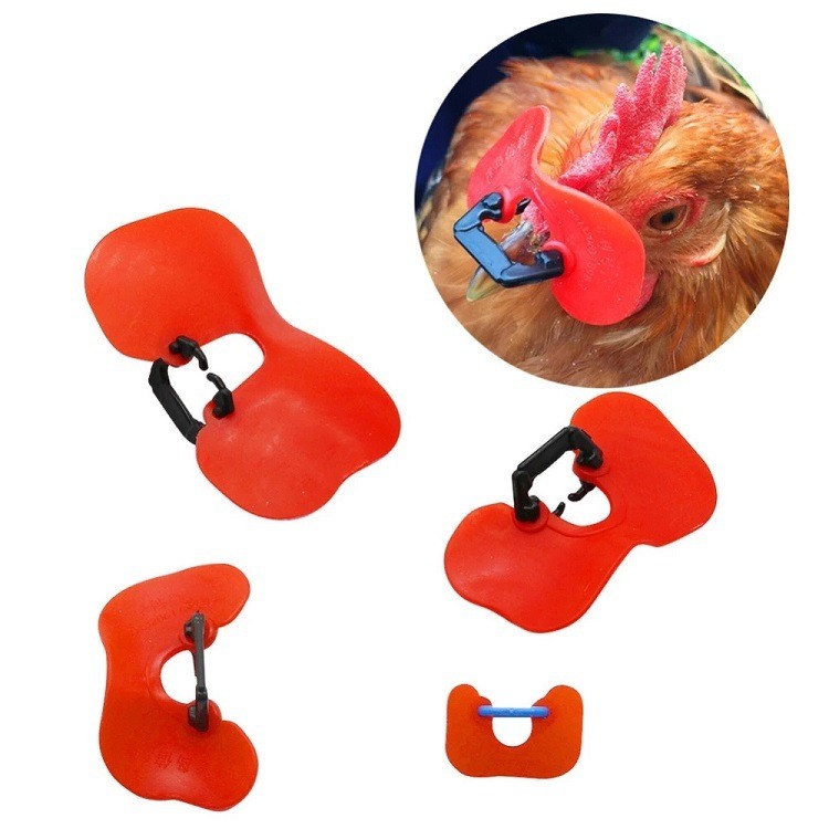 第十代野雞無(wú)栓雞戴眼鏡 大公雞用眼鏡 不掛網(wǎng) 防傷害 軟鏡片又