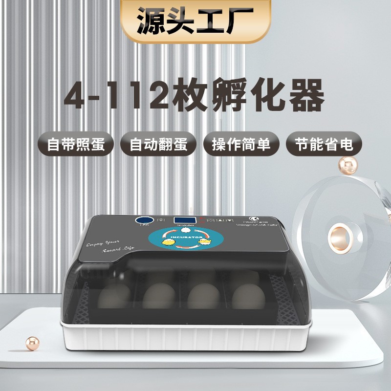 廠家直供12枚迷你小雞孵化器孵蛋器 鴿子孵化機自動孵化養(yǎng)殖機器