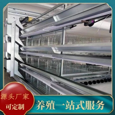 廠家批發(fā)全自動小層疊蛋雞養(yǎng)殖籠具籠養(yǎng)雞用設(shè)備三層四層蛋雞籠