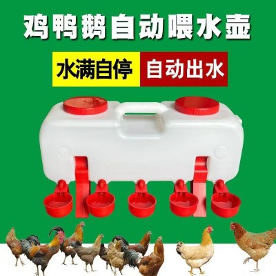 亞馬遜雞自動(dòng)飲水槽雞鴨鵝用飲水器散養(yǎng)雞用自動(dòng)喂水壺雞水桶水碗