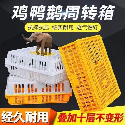 養(yǎng)殖場(chǎng)雞框運(yùn)輸塑料家禽周轉(zhuǎn)箱筐成雞鴨鴿字周轉(zhuǎn)箱家用加厚雞框