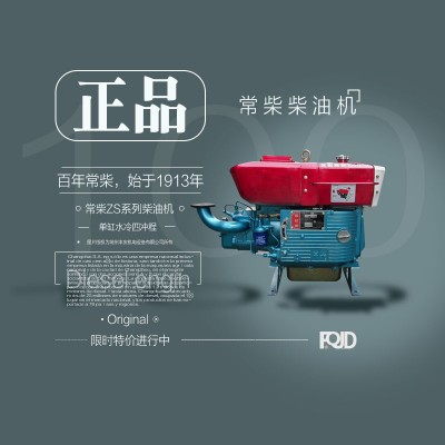 正宗常柴牌單缸柴油機ZS1115，1110，1100手啟動/電啟動