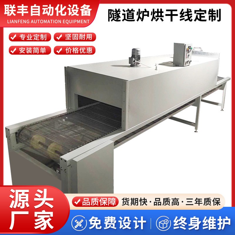 高溫烘烤隧道式機械設(shè)備隧道烘干線烘干設(shè)備輸送機流水線皮帶廠家