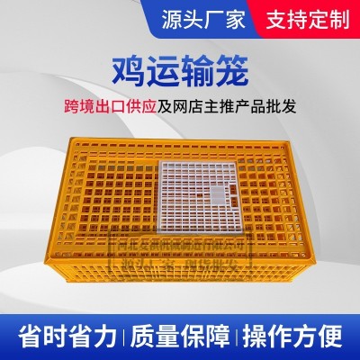 中空透氣塑料家禽雞籠 鴨鵝養(yǎng)殖場運輸周裝框 成雞中轉(zhuǎn)用螺絲組裝