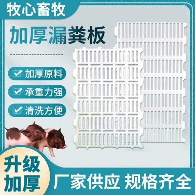 豬用保育床地板廠家加工養(yǎng)豬設(shè)備仔豬母豬產(chǎn)床加厚塑料豬 用漏糞板