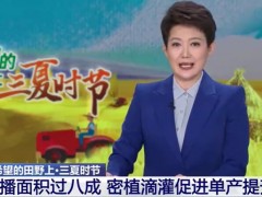 在希望的田野上·三夏時節(jié) 河南 夏播面積過八成 密植滴灌促進(jìn)單產(chǎn)提升