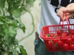 “汗水農(nóng)業(yè)”變“智慧農(nóng)業(yè)”，鄉(xiāng)村振興更顯“科技范兒